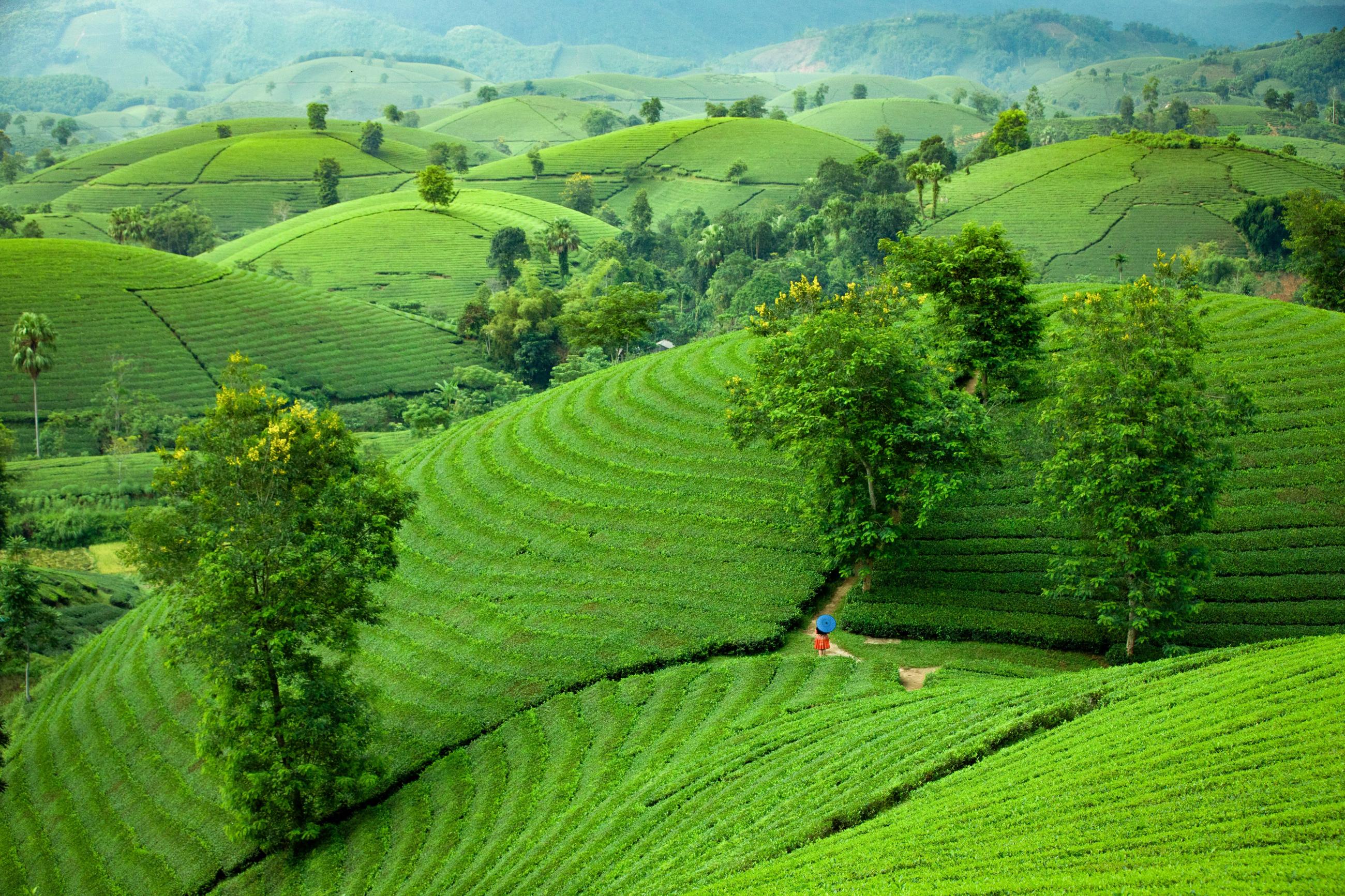 © Diep Van Ngo, Vietnam, entry, Open competition, Travel, 2021 Sony World Photography Awards